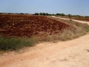 Land for sale in Avgorou